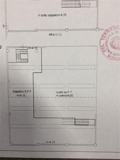 233450160