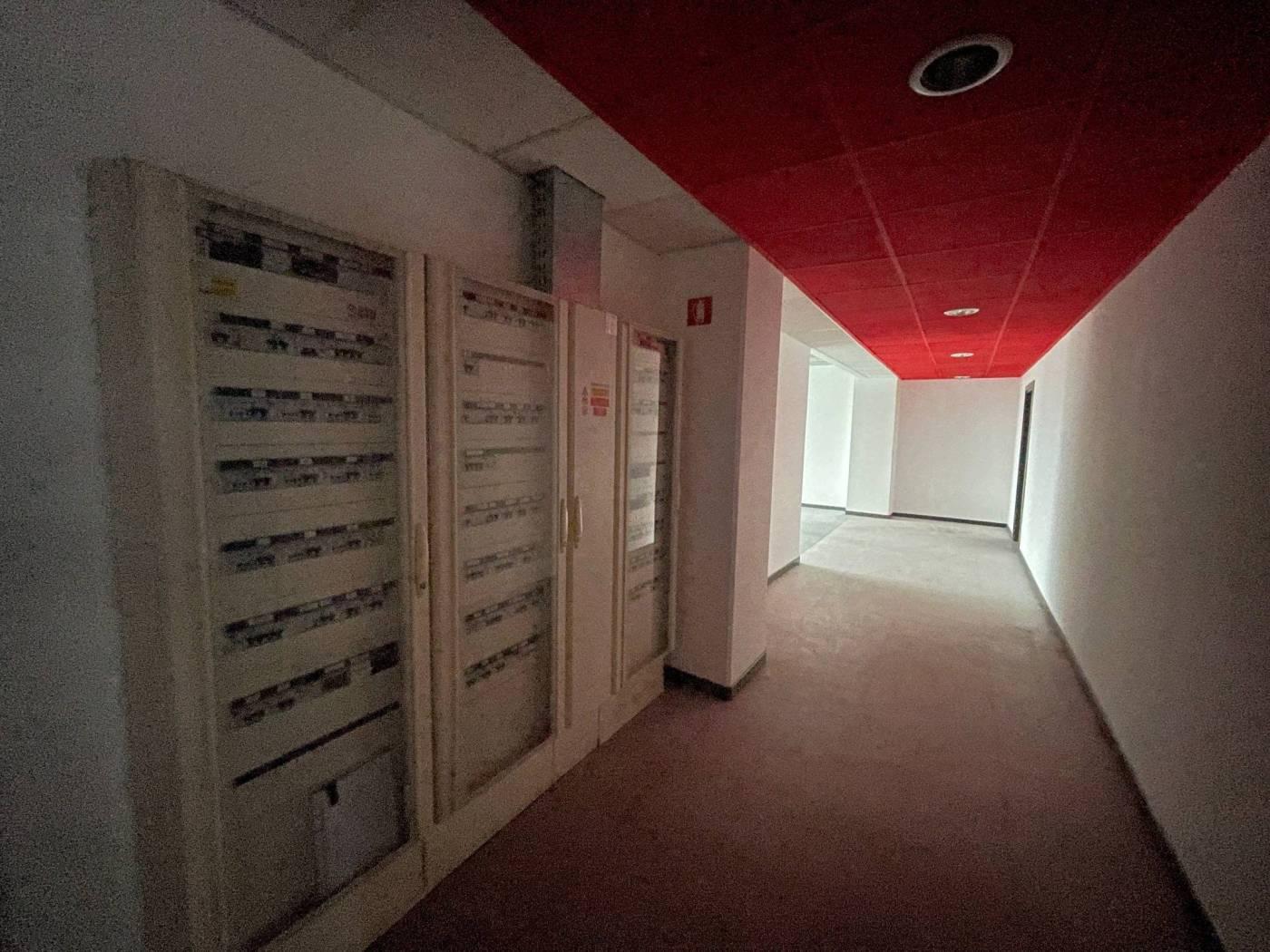 407466805